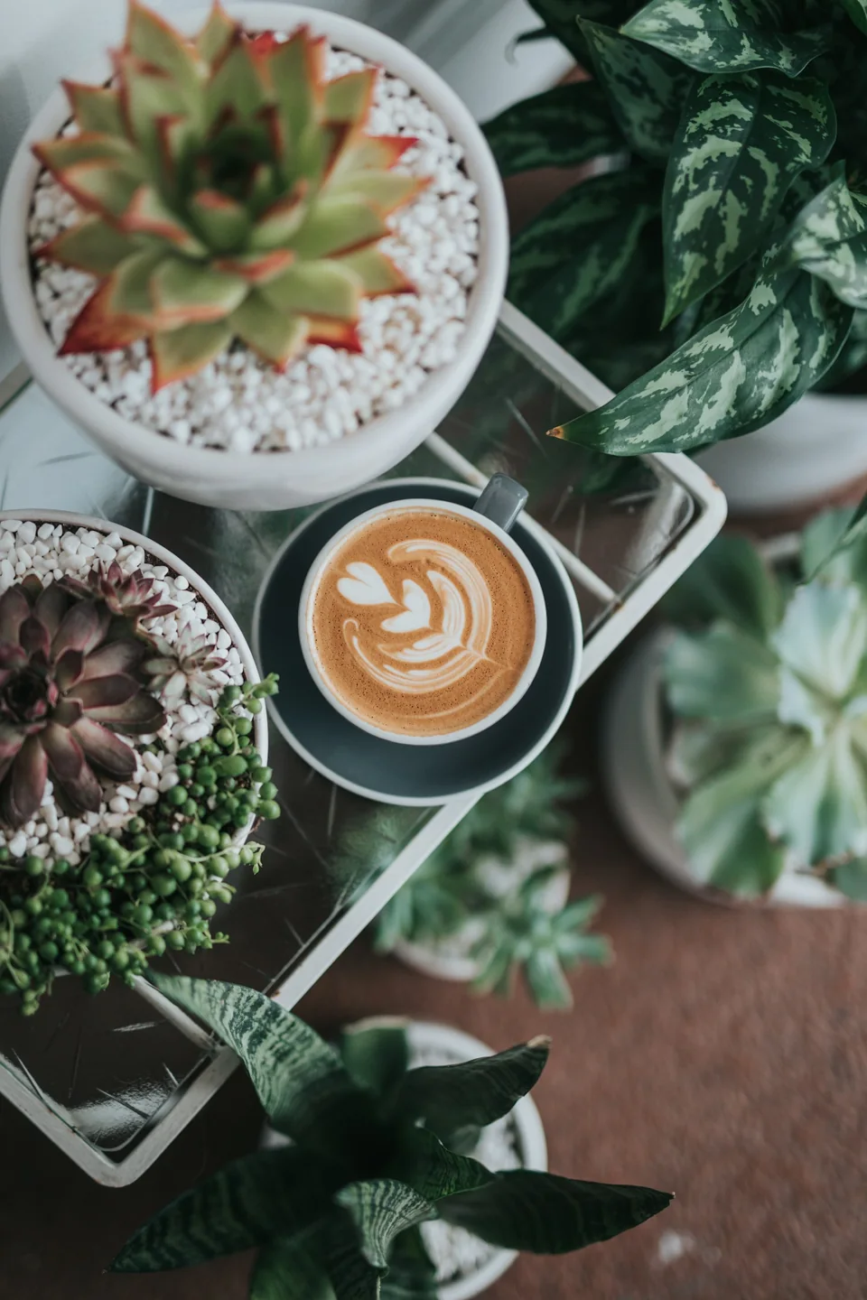 Cafea
